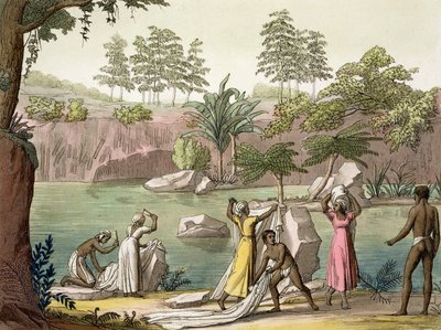 River near San Benedetto, Madagascar, plate 81 from 